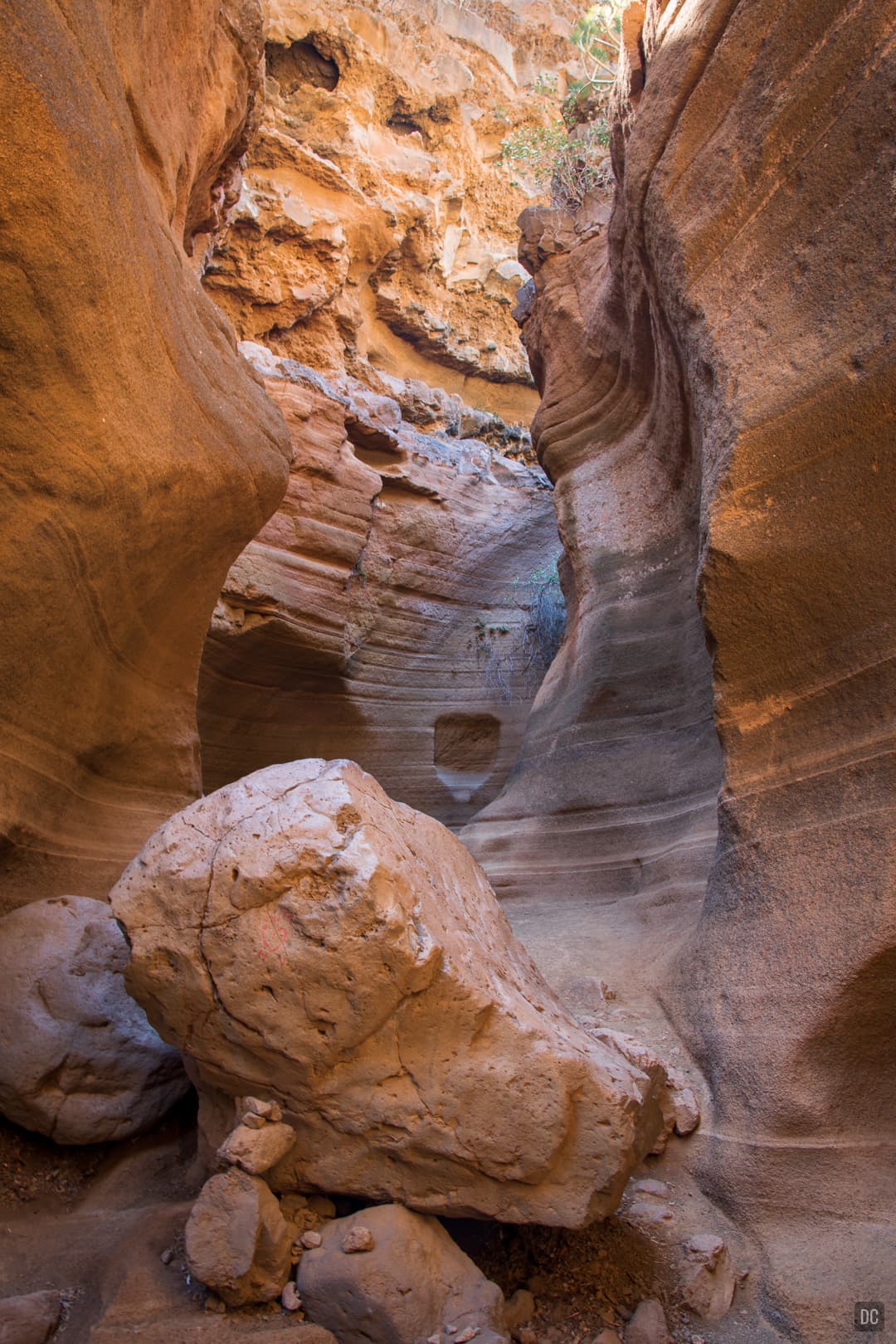 Barranco de Las Vacas